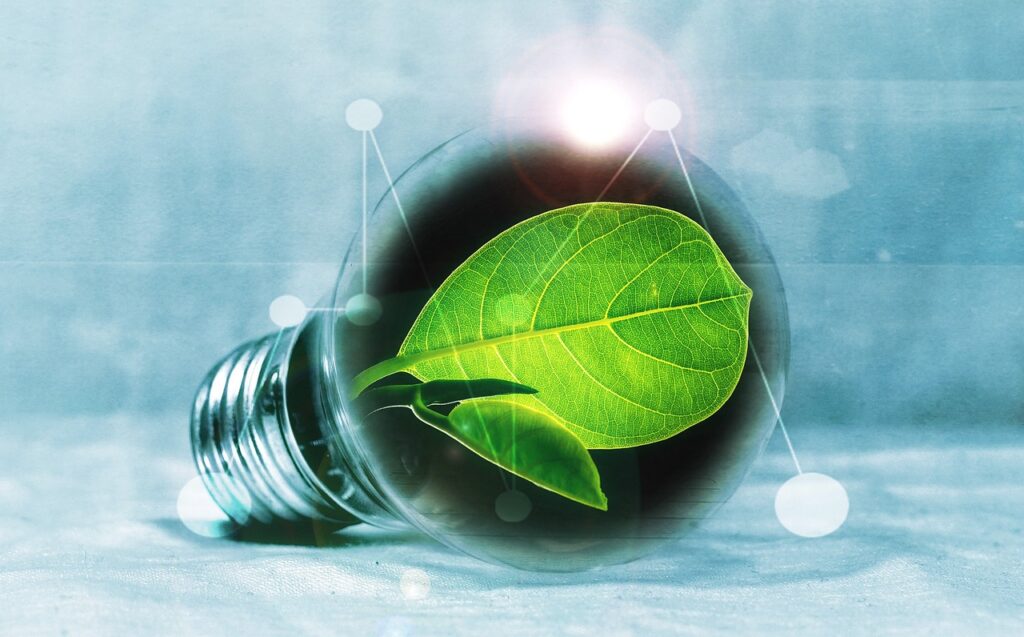lightbulb, leaf, chlorophyll, green, leaf green, light, pear, flashes, energy, energy transition, energy generation, bulbs, experiment, innovation, environmentally friendly, electricity, environment, electric light, energy saving, energy transition, innovation, nature, innovation, innovation, innovation, innovation, energy saving, energy saving